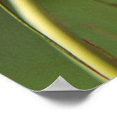 Mooie Elegant Nigella Flower Poster (Hoek)