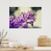 Mooie Elegant Paarse Lila bloemen Poster (Keuken)