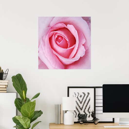 Mooie Elegant Roze Roze Macro Poster (Thuiskantoor)