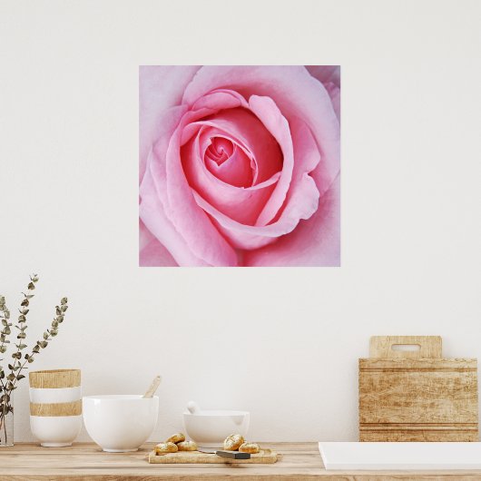 Mooie Elegant Roze Roze Macro Poster (Keuken)