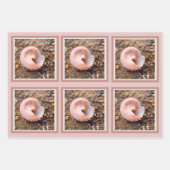 Mooie Elegant Shell in het Bleke roze feest Inpakpapier Vel (Voorkant 3)