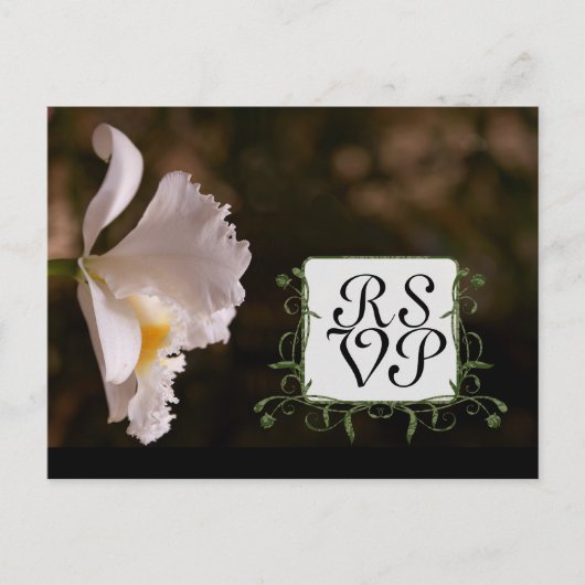Mooie Elegant White Orchid Response Uitnodiging Briefkaart (Voorkant)