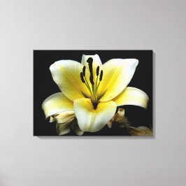 Mooie Elegante Gele Bloem op Zwart Canvas Afdruk