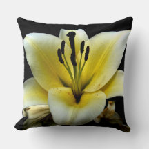 Mooie Elegante Gele Bloem op Zwart