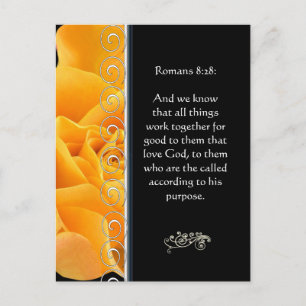 Mooie Elegante Oranje Roos Christelijke Aanmoedigi Briefkaart