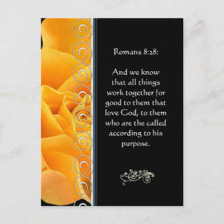 Mooie Elegante Oranje Roos Christelijke Aanmoedigi Briefkaart