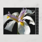Mooie elegante orchidee bruiloft uitnodiging briefkaart (Achterkant)