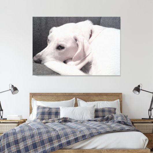 Mooie elegante witte hond Uitstekend Canvas Afdruk (Insitu (Slaapkamer))