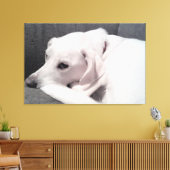 Mooie Elegante Witte Hond Verfijnd  Canvas Afdruk (Insitu (Woonkamer))