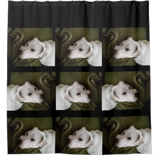 Mooie elegante witte Labrador Mix Hond Douchegordijn (Voorkant)