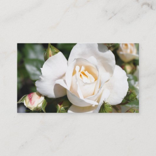 Mooie, elegante witte rozenbloem professional visitekaartje (Voorkant)