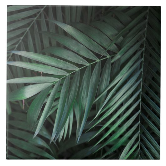 Mooie en elegante tropische bladeren in keramische tegeltje (Voorkant)