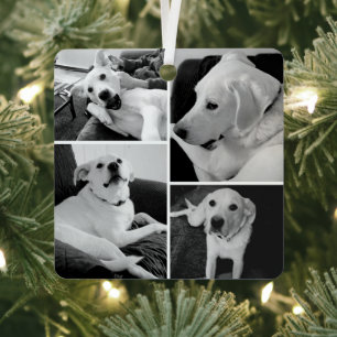 Mooie en grappige zwart-wit hondenfoto's metalen ornament