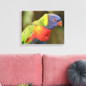 Mooie en kleurrijke papegaai canvas afdruk (Insitu (Woonkamer))