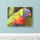 Mooie en kleurrijke papegaai canvas afdruk (Insitu (Houten vloer))