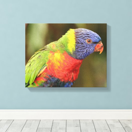 Mooie en kleurrijke papegaai canvas afdruk (Insitu (Houten vloer))