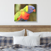 Mooie en kleurrijke papegaai canvas afdruk (Insitu (Slaapkamer))