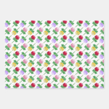 Mooie en Kleurrijke Rozen