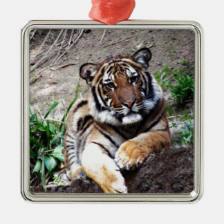Mooie en Majestic Bengal Tiger Custom Metalen Ornament