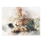 Mooie en schattige kitten slapen waterverf foto afdruk (Voorkant)