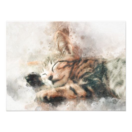 Mooie en schattige kitten slapen waterverf foto afdruk (Voorkant)