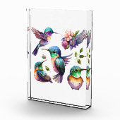 Mooie en stutvogels voor vogelovervallen op fotoblokken (Rechts)