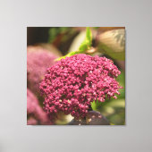 Mooie engelbloem canvas afdruk (Voorkant)