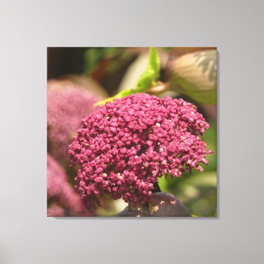 Mooie engelbloem canvas afdruk (Voorkant)