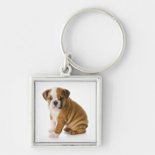 Mooie Engelse Bulldog Puppy Hond Sleutelhanger