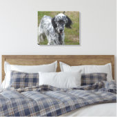 Mooie Engelse Setter Dog Canvas Afdruk (Insitu (Slaapkamer))