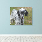 Mooie Engelse Setter Dog Canvas Afdruk (Insitu (Houten vloer))
