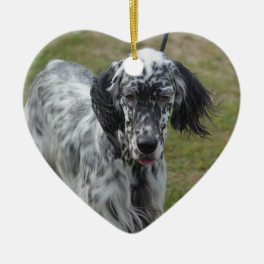 Mooie Engelse Setter Dog Keramisch Ornament (Voorkant)