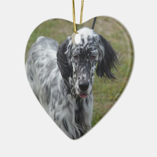 Mooie Engelse Setter Dog Keramisch Ornament (Links)