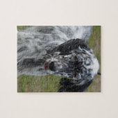 Mooie Engelse Setter Dog Legpuzzel (Horizontaal)