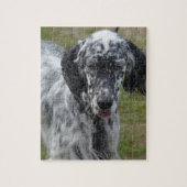 Mooie Engelse Setter Dog Legpuzzel (Verticaal)