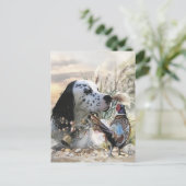 Mooie Engelse Setter met fazant , Art Briefkaart (Staand voorkant)