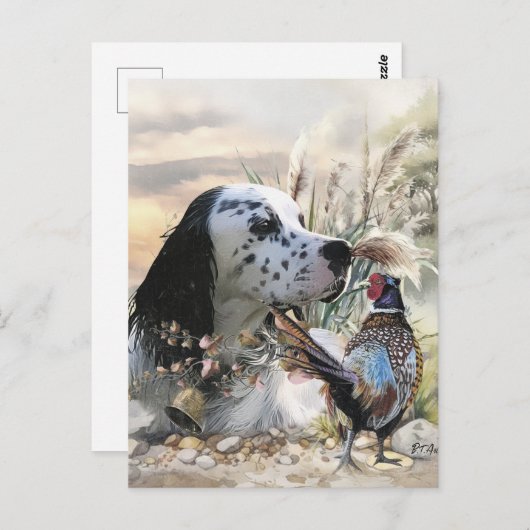 Mooie Engelse Setter met fazant , Art Briefkaart (Voorkant / Achterkant)