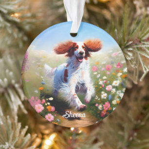 Mooie Engelse Setter Ornament