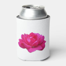 mooie enkele roze roos bloem