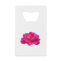 mooie enkele roze roos bloem