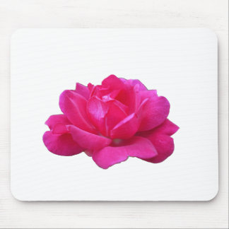 mooie enkele roze roos bloem muismat