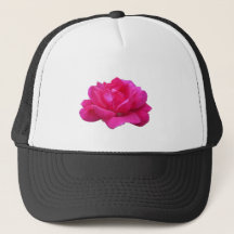 mooie enkele roze roos bloem