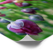 Mooie Epimedium Flowers en Buds Spring Photo Poster (Hoek)