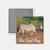 Mooie Equines Paard-liefhebber's Gift Magneet (Voorkant / Achterkant)