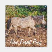 Mooie Equines Paard-liefhebber's Gift Magneet (Voorkant)