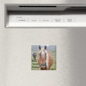 Mooie Equines Paard-liefhebber's Gift Magneet (Insitu (Vaatwasser))