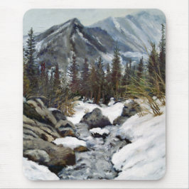 Mooie Estes Park Colorado Winterstroom Muis Muismat