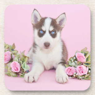 Mooie estige puppy met roze rozen bier onderzetter