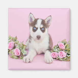 Mooie estige puppy met roze rozen magneet