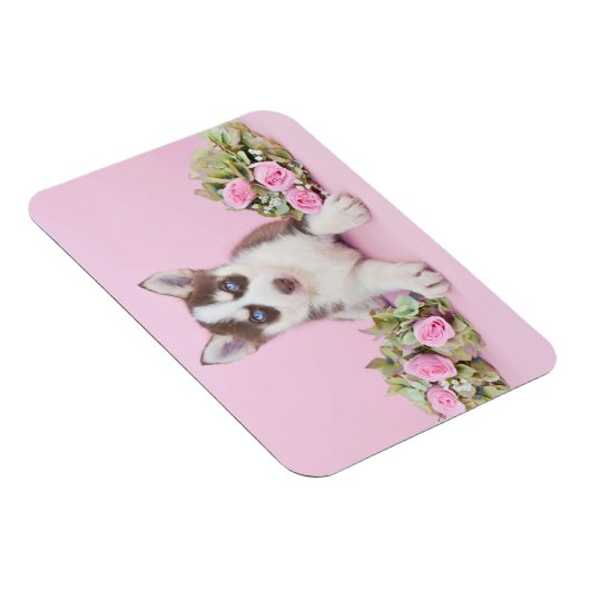 Mooie estige puppy met roze rozen magneet (Rechterzijde)